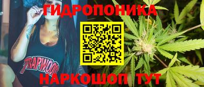 дмт Нальчик