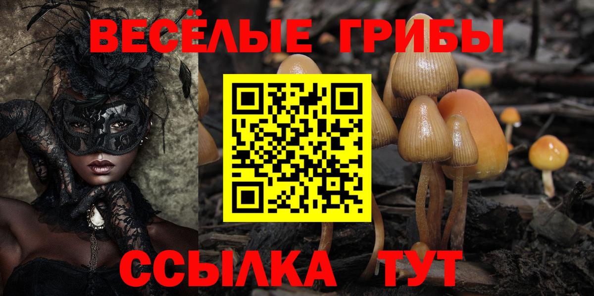 Ульяновск  купить наркоту  Вход с VPN  Галлюциногенные грибы мухоморы 
