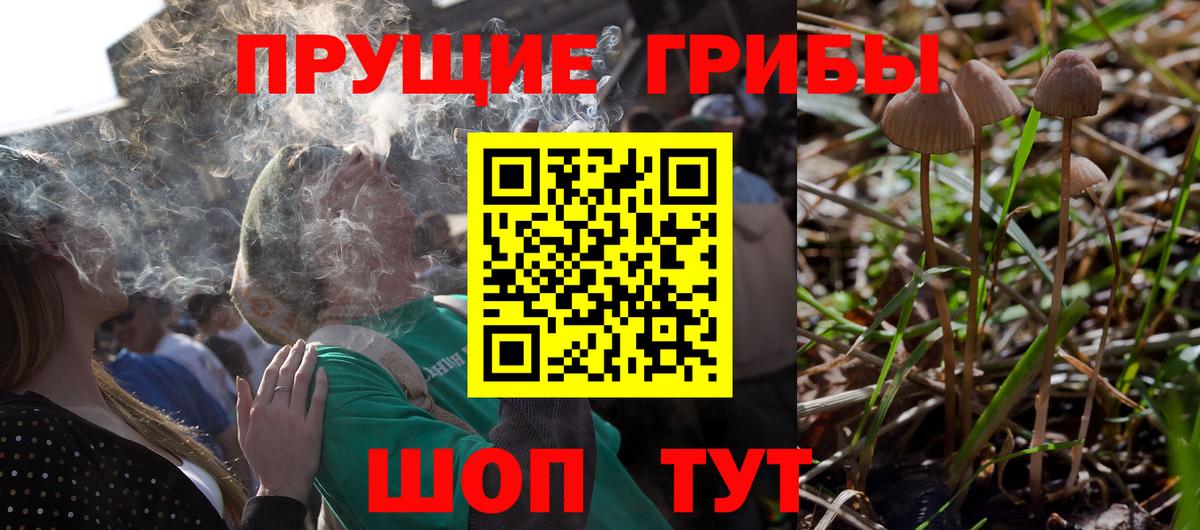 Галлюциногенные грибы Cubensis Ульяновск